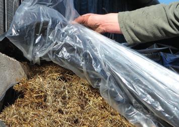 CLAMP SHEETING This new generation clamp sheet sits directly beneath the traditional black silage sheet, where, thanks to its design it closely follows and clings to the clamp surface.
