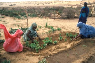 Permanent Interstate Committee for Drought Control in the Sahel (CILSS) What is CILSS?