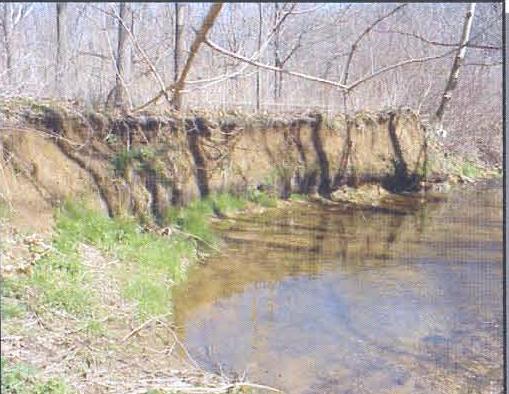 What Is Floodplain & Stream Restoration?