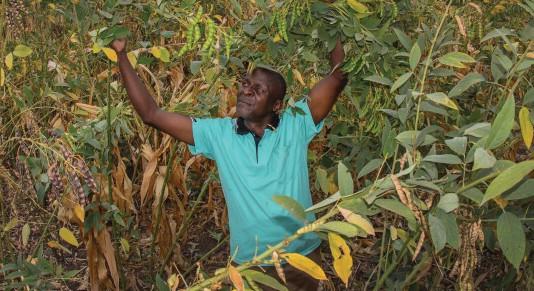 Prize es The Africa Food Prize recognizes extraordinary women, men, and institutions whose outstanding contributions to African agriculture are forging a new era of sustainable food security and