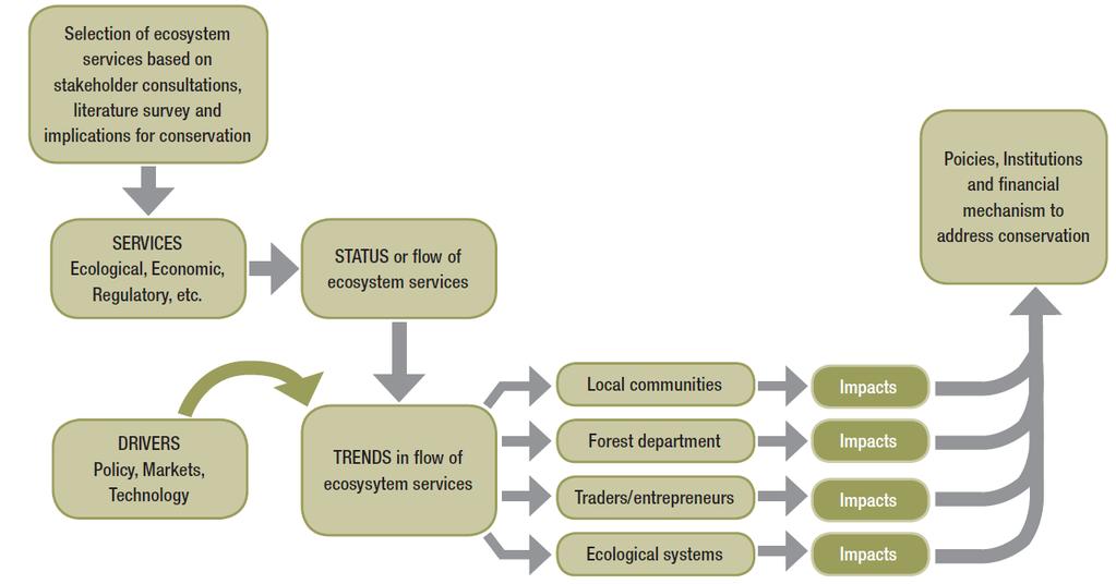 Figure 6-3: Assessing ecosystem goods and services. Source: The Economics of Ecosystems and Biodiversity, India initiative, interim report.
