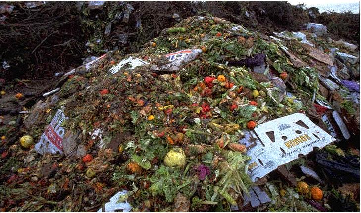 WHAT IS EUROPEN? The Food Waste Crisis Europeans waste 90 million tonnes of food every year.