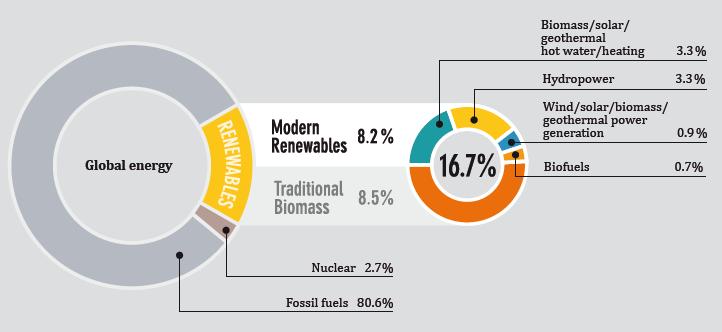 Renewable Energy in Global Energy in 2012 Renewable Energy