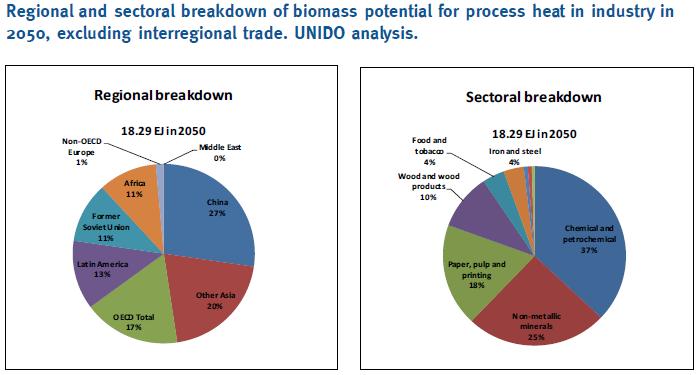 Renewable Energy in Industrial Applications: Biomass for process