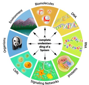 Systems Biology Centers