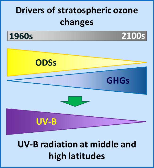 UV-B Radiation, Ozone and Climate Change Outside Antarctica other factors (aerosols, clouds, albedo, air pollution) dominate the variability of UV-B radiation, masking effects of changes in