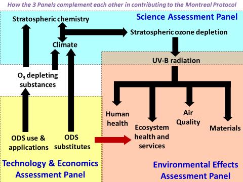 Air quality Substitutes for ODS must be monitored for potential risks: 1. Formation of persistent compounds, e.g.