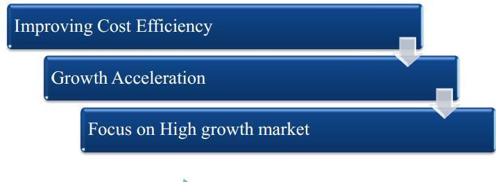 CORPORATE LEVEL STRATEGIES WELSPUN ENERGY LIMITED : Develop next-generation products with focus on improving efficiency/cost-per-kwh Increasing production capacity and strengthening vertical