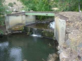 Pellicer Fish Passage, 2004 N.F. Cowiche Creek This project involved removal of a 2.5 ft.