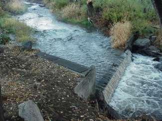 Garretson Fish Screen and Barrier Removal, 2005 Cowiche Creek The project addressed a fish passage barrier and irrigation diversion by reconfiguring the existing diversion dam,