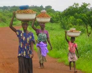 customary land tenure Low and stagnant labor productivity and minimal mechanization Key roles of women in