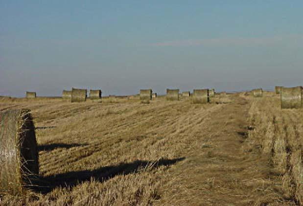 Switchgrass: Bales from a 5-year-old field in southeastern South Dakota. Source: DOE The DOE chart above provides a comparison of energy yields and energy expenditures of various sources of fuel.