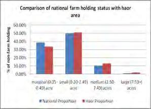 84% of the economically active population in the haor area can serve in the labour force which is higher than the national average (58.74%). Currently, 28.