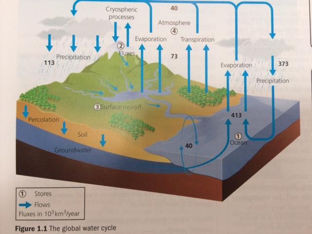 WATER EQ1: What are the processes operating within the hydrological cycle from global to local scale? 5.1 The global hydrological cycle is of enormous importance to life on earth a.
