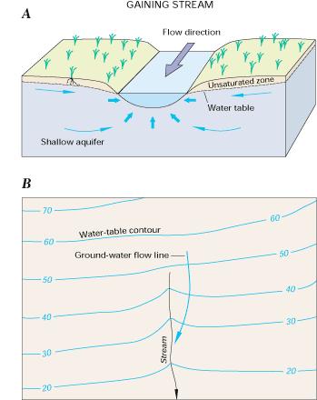 Interactions: Gaining Streams Gaining streams streams that receive water from the groundwater system Contour plot of a gaining stream