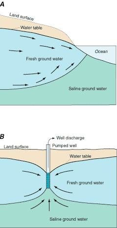 Impact: saltwater intrusion Coastal areas: freshwater flows over saltwater because it is less