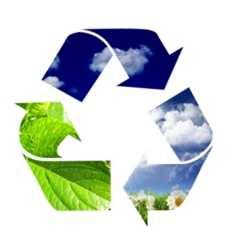 Suppliers: Our commitments and expectations THE ENVIRONMENT: Complying with legal obligations and other requirements