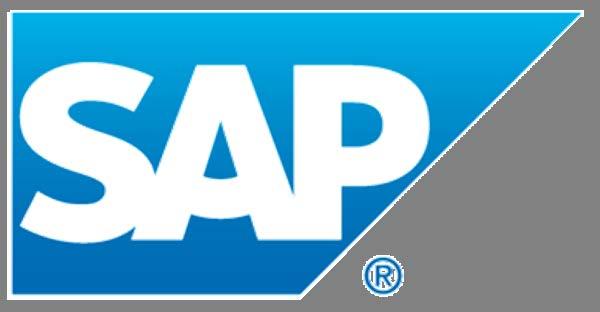 Requirements for Excel-SAP Integration Respect SAP security Surface SAP functionality