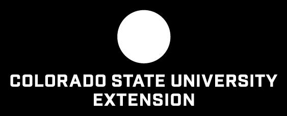 STATE UNIVERSITY EXTENSION 