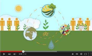 4R VIDEOS Roots for Growth: Feeding the World CFI emphasizes 4R Nutrient Stewardship as a solution to sustainable food security and soil health for generations 4R
