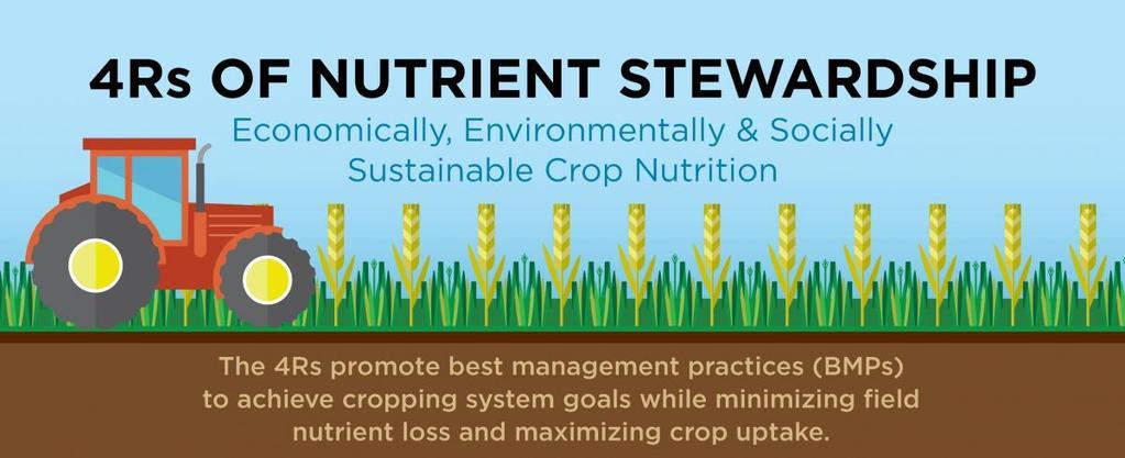 March 2015 4R NUTRIENT STEWARDSHIP A POLICY TOOLKIT RATIONALE Optimized use of fertilizers by farmers around the world is necessary for food and nutrition security and for safeguarding natural