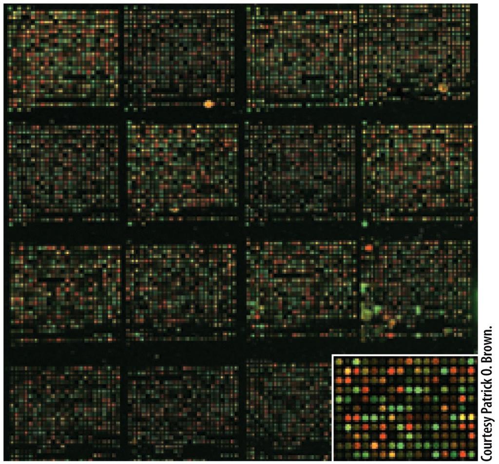 8 Transcriptional control DNA microarrays Plot showing changes in glucose and ethanol