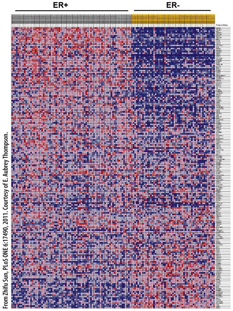 Transcriptional control Technique: DNA microarrays 9 DNA microarrays can facilitate the diagnosis and treatment of human diseases.