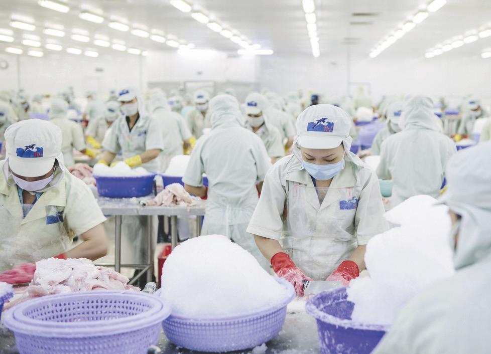 IMPACT SHEET SWITCH-ASIA PROJECT ESTABLISHING A SUSTAINABLE PANGASIUS SUPPLY CHAIN IN VIETNAM (SUPA) Enabling sustainable development in Vietnam s pangasius industry The project supported 225