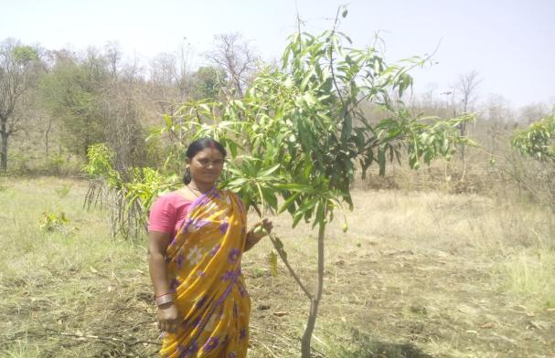 Shahpura Branch, Arera Colony,