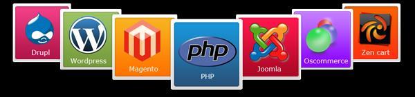 Custom Web Application Development PHP Development PHP is a great HTML-embedded server-side scripting language, and is the main significant option for