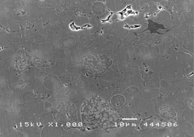 Microstructure Evaluation Scanning Electron Microscopy pictures of the Al-Ni-Ce coating at different magnification are shown in Fig. 3. The coating thickness was between 200 and 300 µm.
