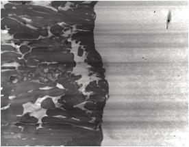 From the result of TEM observation at GI steel side, the mainly crystal phases were observed as the columnar phase, and the different crystal phases were observed between the columnar phases.