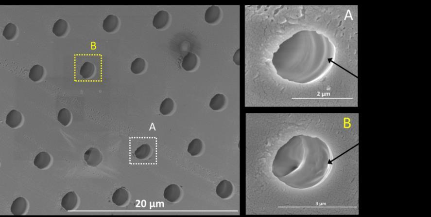 Scanning Electron Microscopy After the deposition of the chalcogenide glass inside the holes of the polymer PCF, the end facet was cleaved using the hot-blade/fiber technique 1 to obtain a good