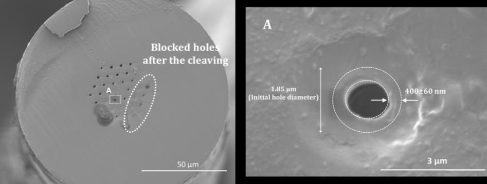 The SEM images were taken with an FEI Quanta 200 ESEM FEG Electron Microscope using an accelerating voltage of 2-10kV.