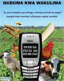 Dial A for Agriculture: Using ICTs for Agricultural Extension Jenny C.