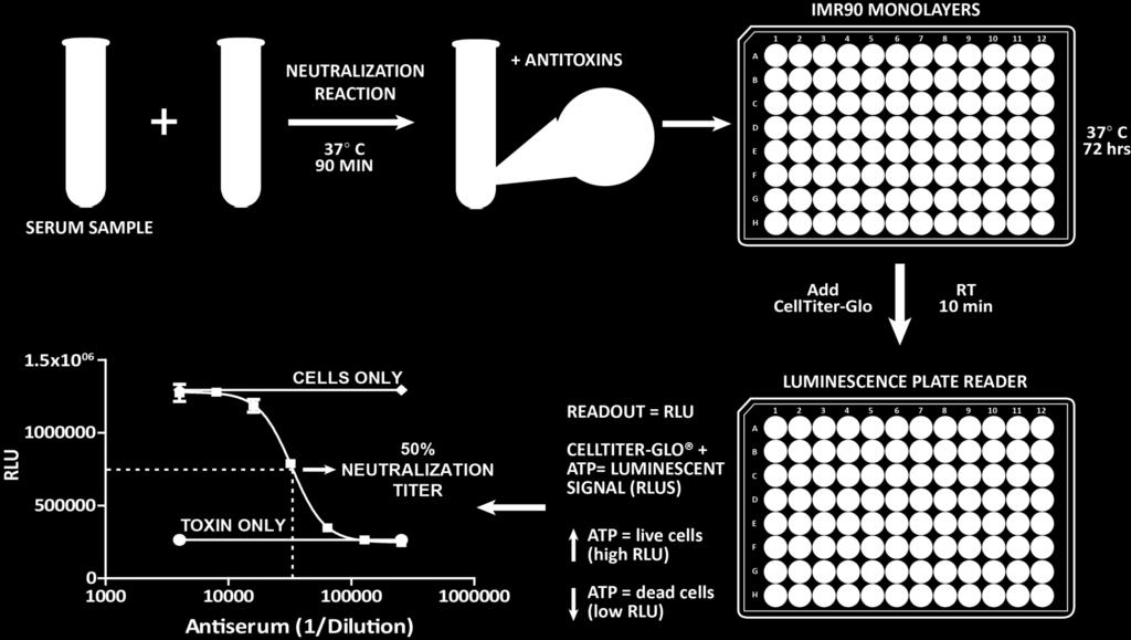 Toxin Neutralization Assay (TNA): A Brief Overview R L U TOXIN 1.5 1 0 7 REFERENCE STANDARD 1.0 1 0 7 5.0 1 0 6 0 0.