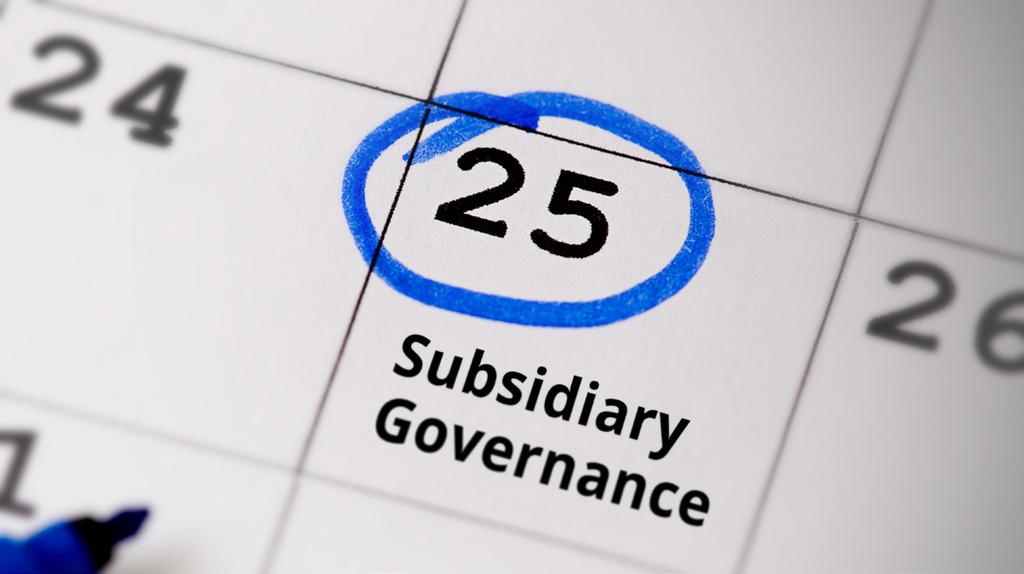 Subsidiary Governance October 2016 On the board s agenda Governance in a multidimensional environment As organizations expand their operations, many do so by creating or acquiring legal entities to