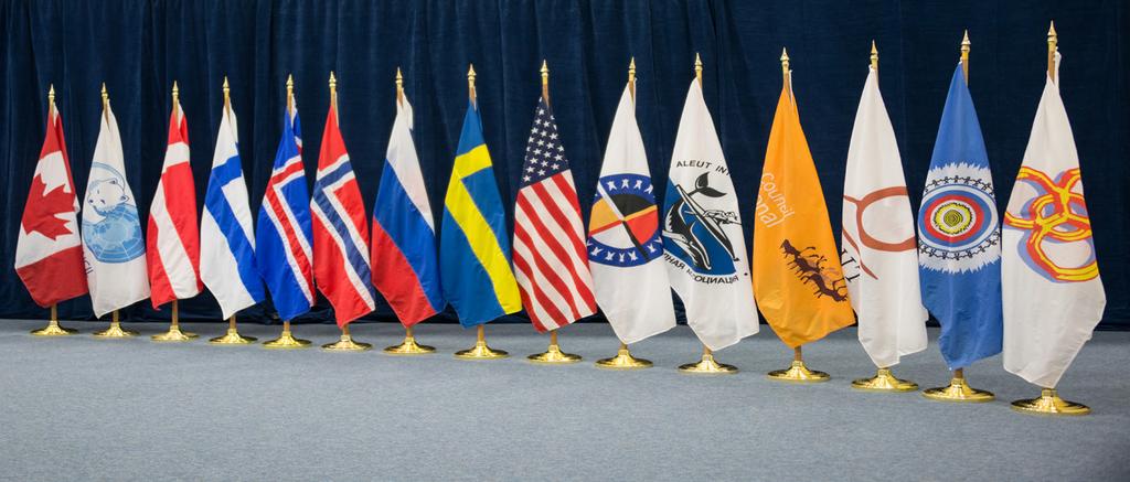 The category of Permanent Participants has been created to provide for active participation and full consultation with the Arctic indigenous representatives within the Arctic Council.