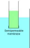 Method 3: Membrane Filtration Definition: Reverse Osmosis Overcoming (and reversing) osmonic pressure through a semi-permeable membrane, usually via a high-pressure pump.