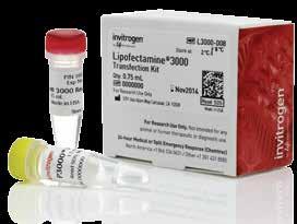Achieve better biology in your stem cell research Lipofectamine 3000 Reagent Generation and transfection of induced pluripotent stem cells (ipscs). Learn more at lifetechnologies.
