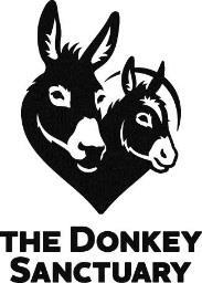 FUNDRAISING ADMINISTRATOR ADOPTION SCHEME Band 4 Responsible to: Fundraising Manager Adoption Scheme Directly responsible for: N/A Our Vision and Mission The Donkey Sanctuary is working for a world