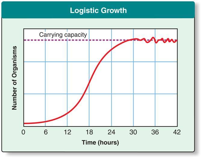 Logistic growth follows a period of exponential growth.