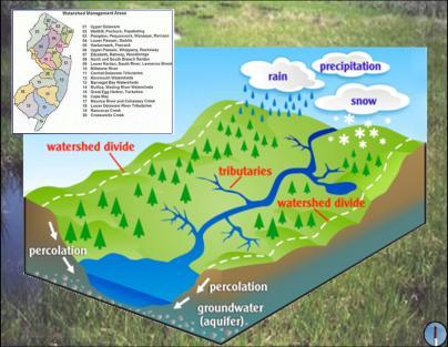 PAGE 3 The term watershed refers to an area of land where any precipitation that falls onto it