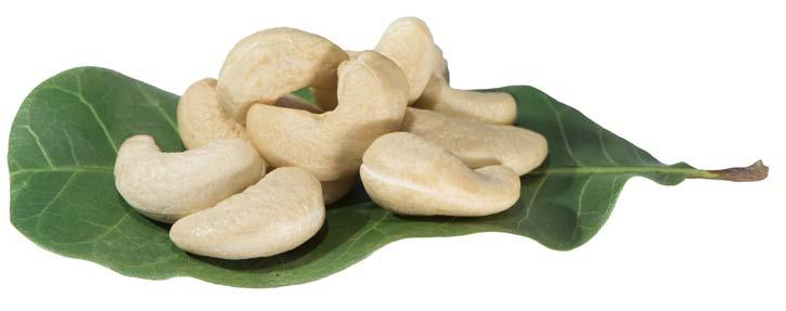 Background of African Cashew Sector About 90% of the estimated 1.5 million cashew farmers in Africa are poor and live in deprived rural areas. Their annual income is low, at 120-450 USD.