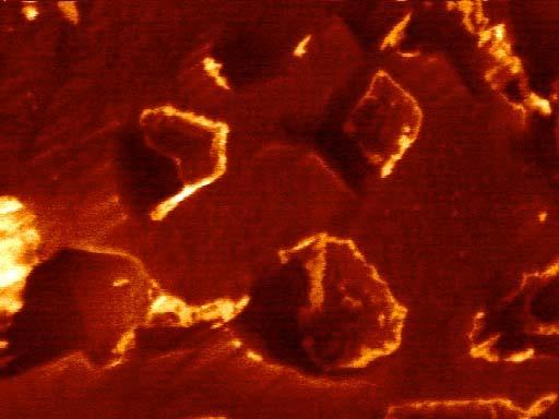 In some places, the grain boundaries seem to be cracked open by the oxide. After extensive heating (20 h) at 600 C the oxide has loosened micrometer sized beryllium particles from the surface (FIG.