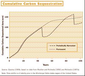 ( 52. Deforestation has a significant impact on global CO2 emissions. The region where this most often occurs is: A) U.S.