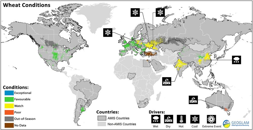 Wheat Conditions for AMIS Countries Wheat crop conditions over main growing areas are based upon a combination of national and regional crop analyst inputs along with earth observation data.