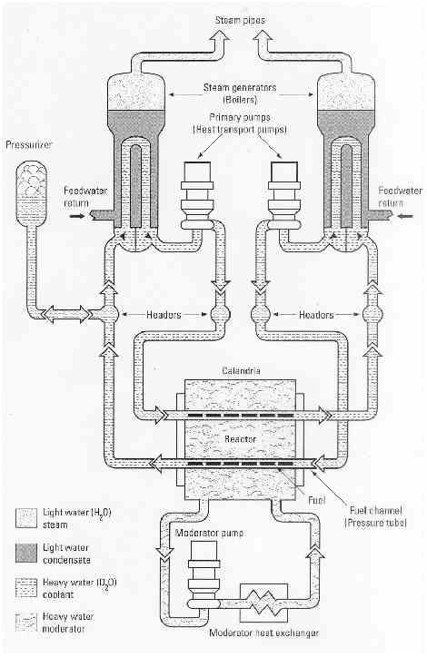 22 The Essential CANDU reactors is heavy water to minimize neutron absorption. In the pressure tubes, the coolant flows are in opposite directions in adjacent tubes.