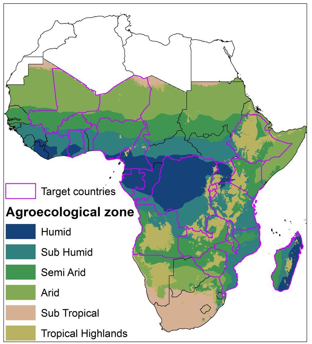 Target Agro-Ecologies and CG Centers 1. Achieving self-sufficiency in rice production (SH) Africa Rice, IFPRI 2. Intensifying cassava production and agroprocessing (H, SH, SA) IITA, IFPRI 3.