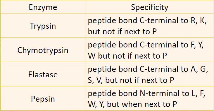 Notes: We exclude proline because it makes the peptides unstable, where it cannot undergo cleavage using this method. The previous table is very important (memorize).